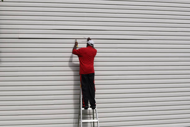 Best Custom Siding Design  in Kittredge, CO